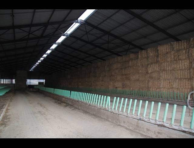 814HA FARM FOR SALE IN RIVERSDALE RURAL